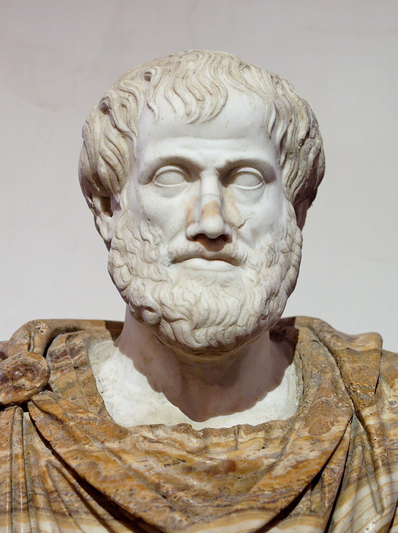 Click to enlarge Aristotle (Altemps bust)