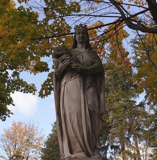 Image 8